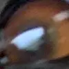 Jordan Bagley - @jordanbagley09 - TikTok