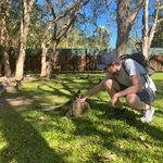 Gordon Basham - @gordonbrewster8 - Instagram