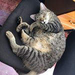 Gordon Bauer - @bauertalk - Instagram