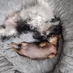 Gordon Baumgardner - @gordon.baumgardner - Instagram