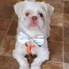 gordonbaumgard6 - @gordon.baumgard2 - TikTok