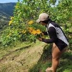 Merlis Gordon Beltran - @merlisgordonbeltran - Instagram