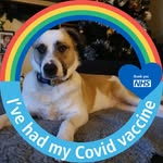 Gordon Bishop - @gordon4bishop - Instagram