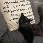Gordon Blair - @gbl1779 - Instagram