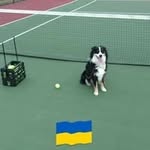 Gordon Bolt - @gordonbolt - Instagram