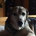 Gordon Boyle - Facebook
