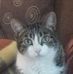 Gordon Boyle - Facebook