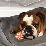 Gordon Brighton - @gordon.brighton.35 - Instagram