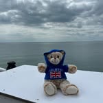 Gordon Roberto Fitzgerald - @gordonthebrightonbear - Instagram