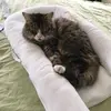 gordonbritton885 - @gordonbritton885 - TikTok