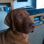 gordon watson-broughton - @gord.wb - Instagram