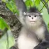 Buck Gordon - @buck.gordon - TikTok