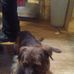 Gordon Buckner - Facebook