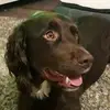 Gordon Burns - @gordon.burns5 - TikTok