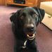 Gordon Burns - Facebook