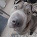 Connie Burris-Gordon - Facebook
