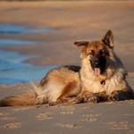 Gordon Cahill - @flashgordonphotography - Instagram