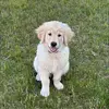 Kari Gordon Cahill - @kari.gordon.cahil - TikTok