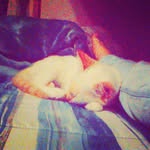 im kitty gordon caine - @gordoncaine_101 - Instagram