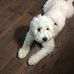 Gordon Calvert - Facebook