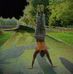 Gordon Cannon - Facebook