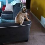 Gordon Carpenter - @gordon.carpenter.921 - Instagram