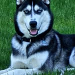 Gordon Carpenter - @gordonstevencarpent - Instagram