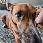 Gordon Case Kramer - @gordonckramer - Instagram