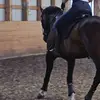 caseygordon472 - @caseygordon472 - TikTok