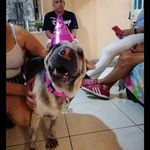 Alis Gordon Castro - @gordon.alis - Instagram