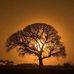 Gordon Chadwick - Facebook