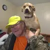 gordonchamberlai1 - @gordonchamberlai1 - TikTok
