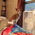 Gordon Champion - Facebook