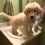 Gordon Chapman - @gordon.gchapman - Instagram