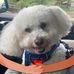 Kathy Gordon Chappell - Facebook