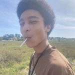 Gavilan Gordon-Chavez - @organic.gav - Instagram