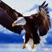 Gordon Clement - Facebook