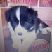 Gordon Clements - Facebook