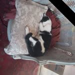 Gordon Coburne - @gordoncoburne - Instagram