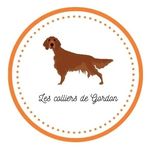 Colliers pour chiens - @lescolliersdegordon - Instagram