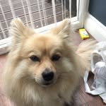 Gordon Conner - @gordon.conner2020 - Instagram