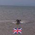 Gordon Cottrell - Facebook