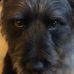 Gordon Daugherty - Facebook