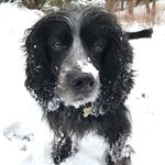 Gordon Dickson - @dickson517 - Instagram