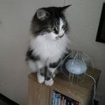 Gordon Drummond - @drummond.gordon - Instagram