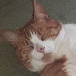 Duke Gordon - @dukegordon1 - Instagram