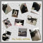 Gordon, Poe, Duke - @poe_gordon_duke - Instagram