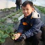 Gordon Eng WeiHan - @engweihan - Instagram
