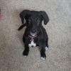 Gordy Evenson - @gordy.evenson - TikTok