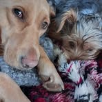 Gordon Fleming - Facebook